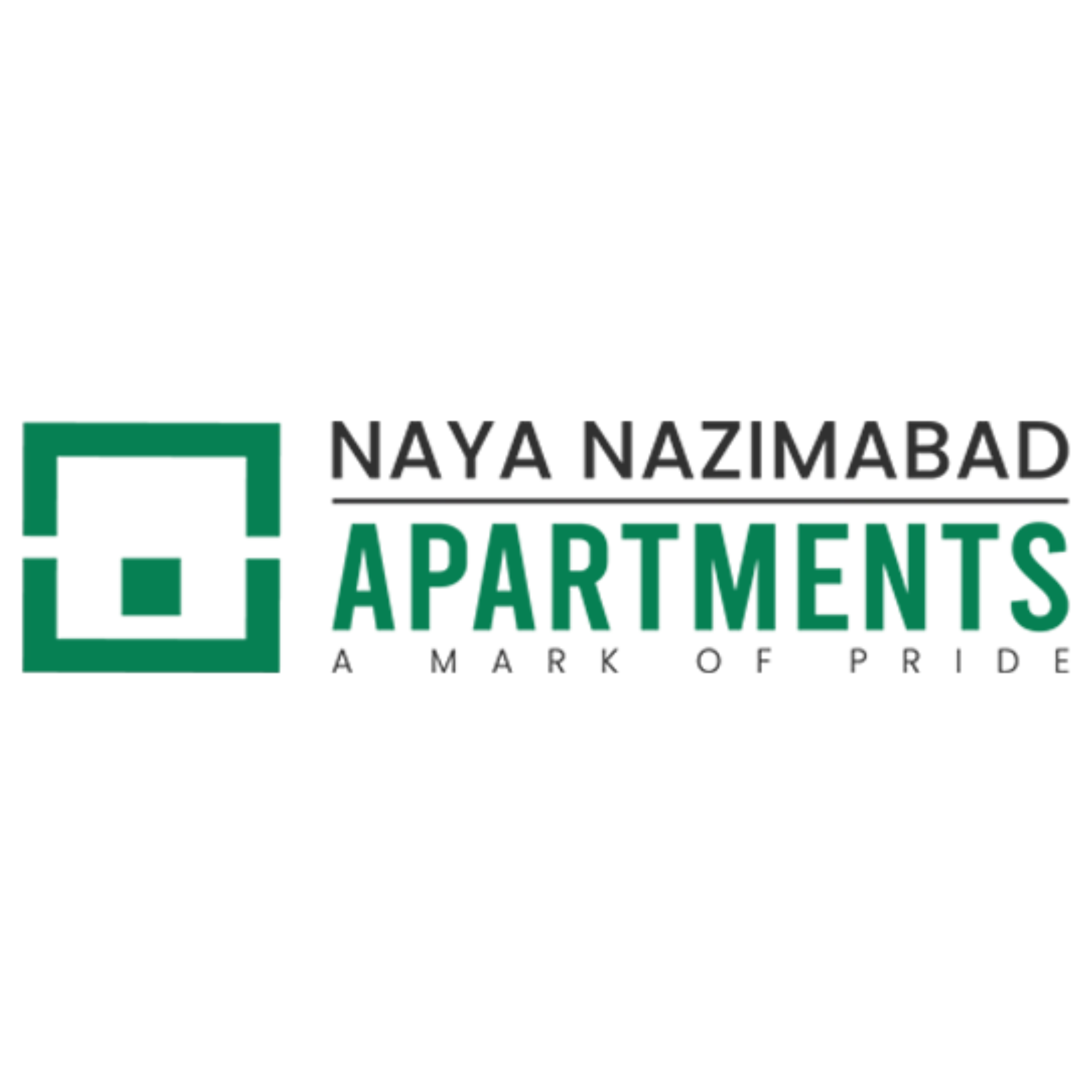 NAYA NAZIMABAD LOGO BLACK